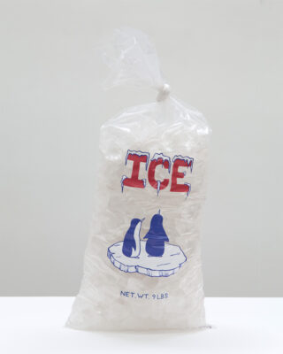 <i>Bag of Ice</i>, 2014