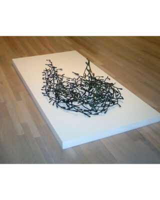 <i>Seaweed Sculpture</i>, 2005