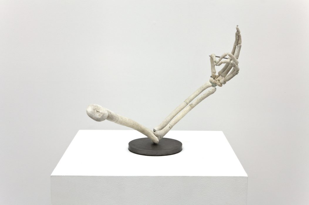 Untitled (Left Arm), 2012