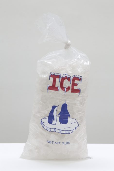 Bag of Ice, 2014
Quartz crystal, polyethylene, and vinyl
21 x 9 x 6 inches