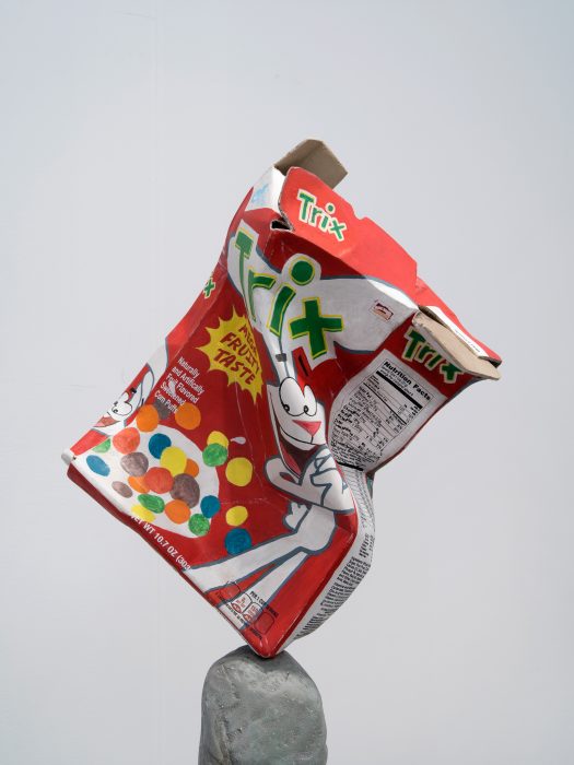Trix Box Balancing on a Rock with a Book, 2019
Detail