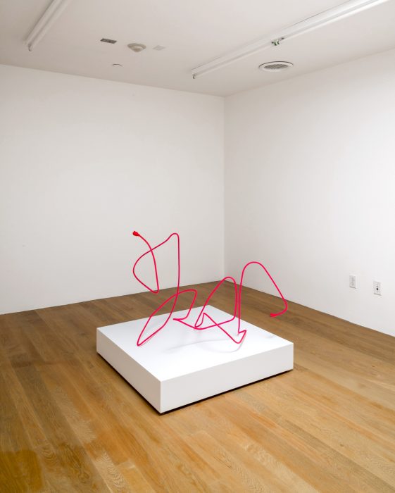 Extension Cord 7 (Free Radical), 2013
Installation view