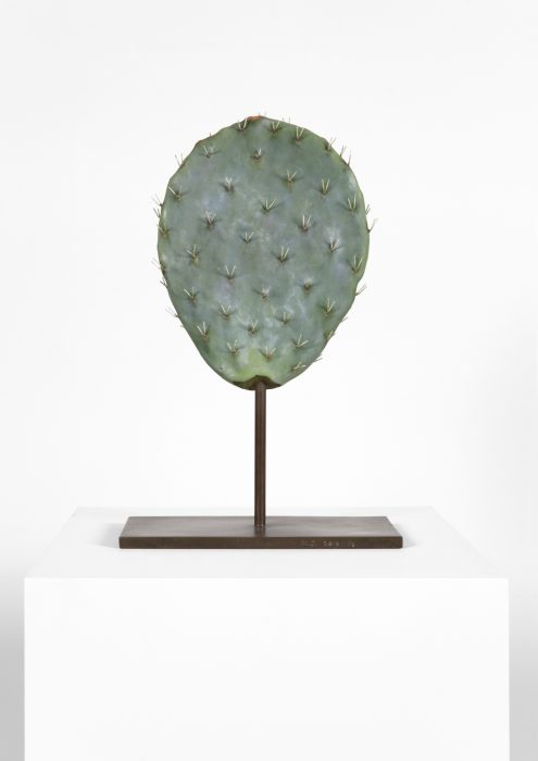 Alien Cactus, 2015
Cast bronze with oil paint
18.5 x 12 x 5.75 inches