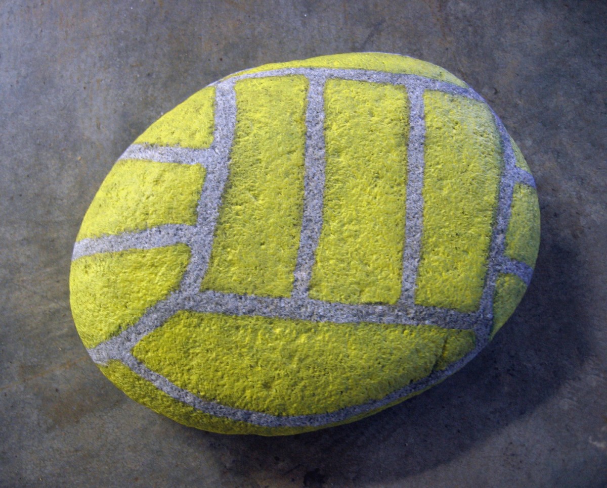 Volleyball, 2005